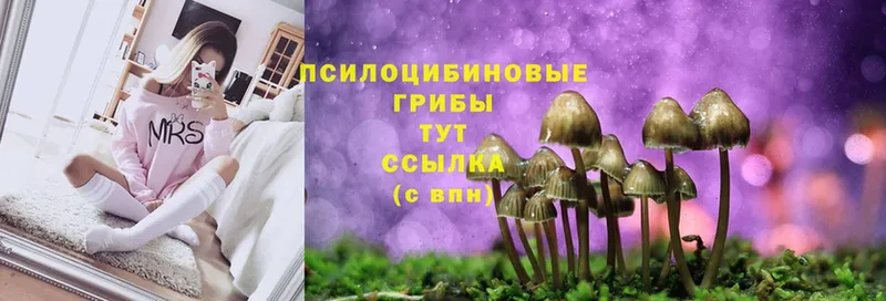 Галлюциногенные грибы MAGIC MUSHROOMS  купить наркотик  ссылка на мегу как войти  Новопавловск 